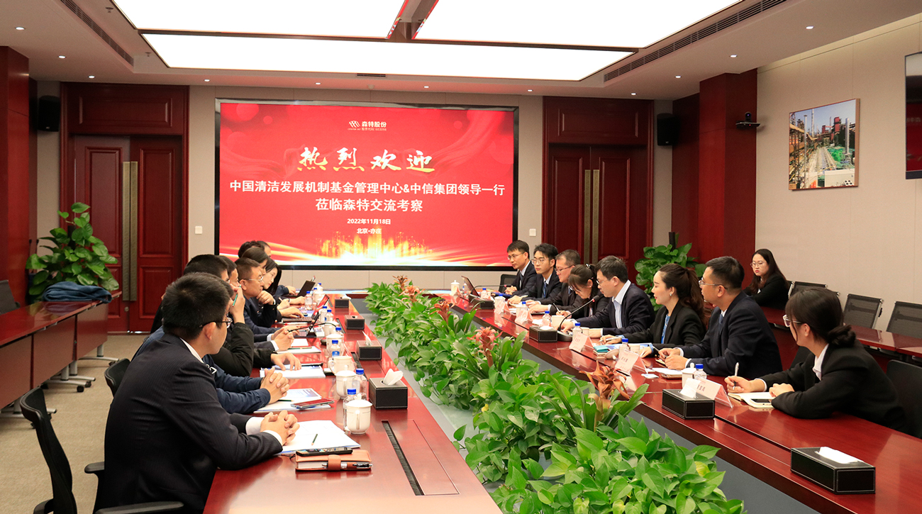 中国清洁发展机制基金管理中心党委委员夏颖哲和中信集团协同部副总经理周巍一行莅临森特股份集团调研