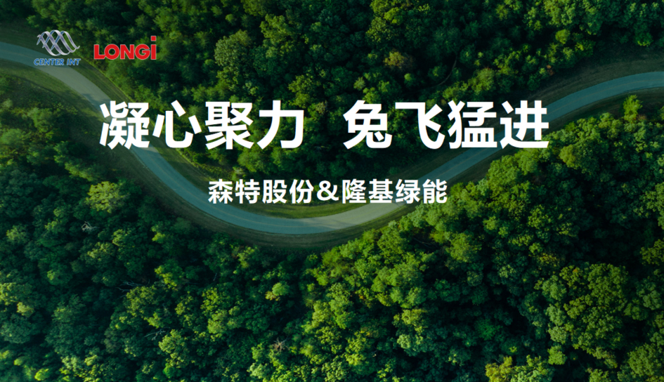凝心聚力，“兔”飞猛进！